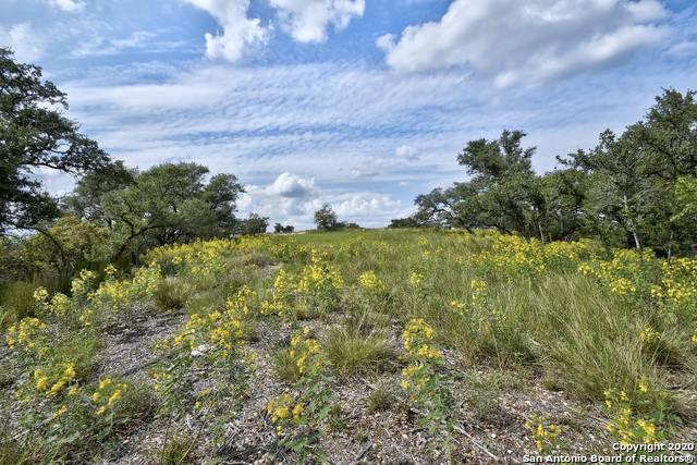 22977 Stallion Ridge, San Antonio, TX 78255, san antonio