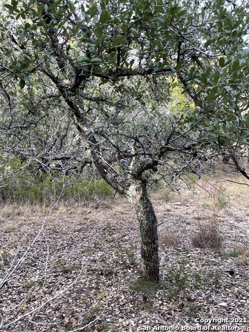 Listing view 3