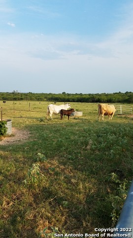 Listing view 3