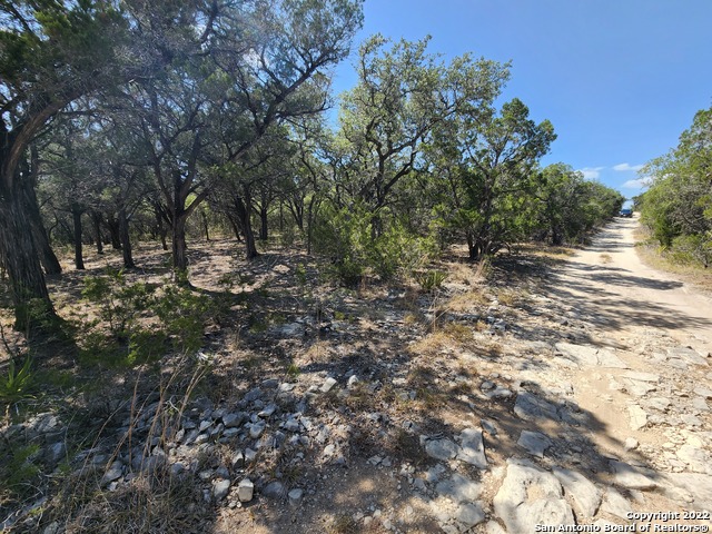 Listing view 3