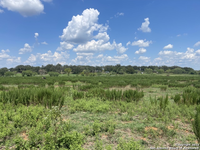 Listing view 3