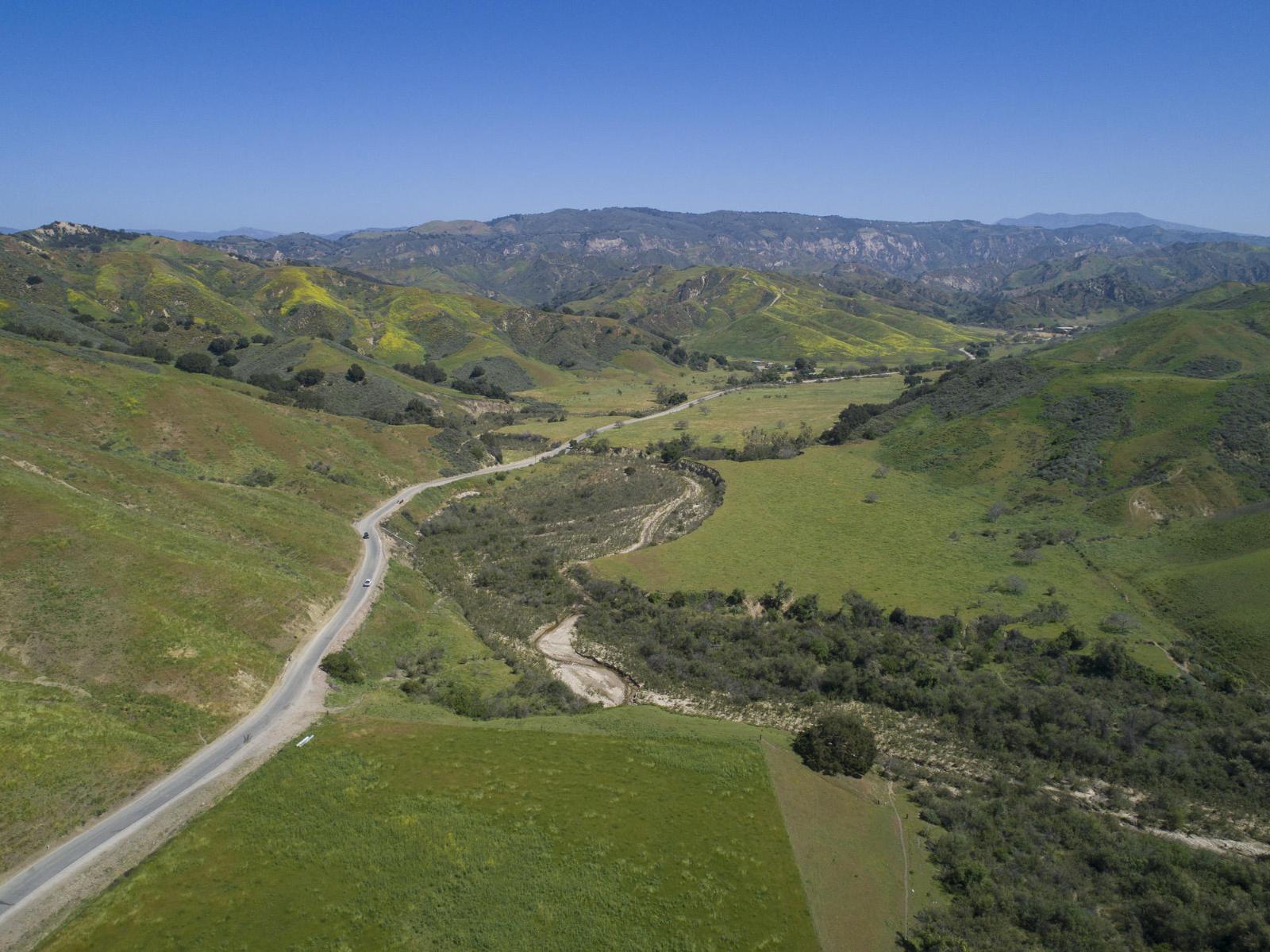 Listing view 3