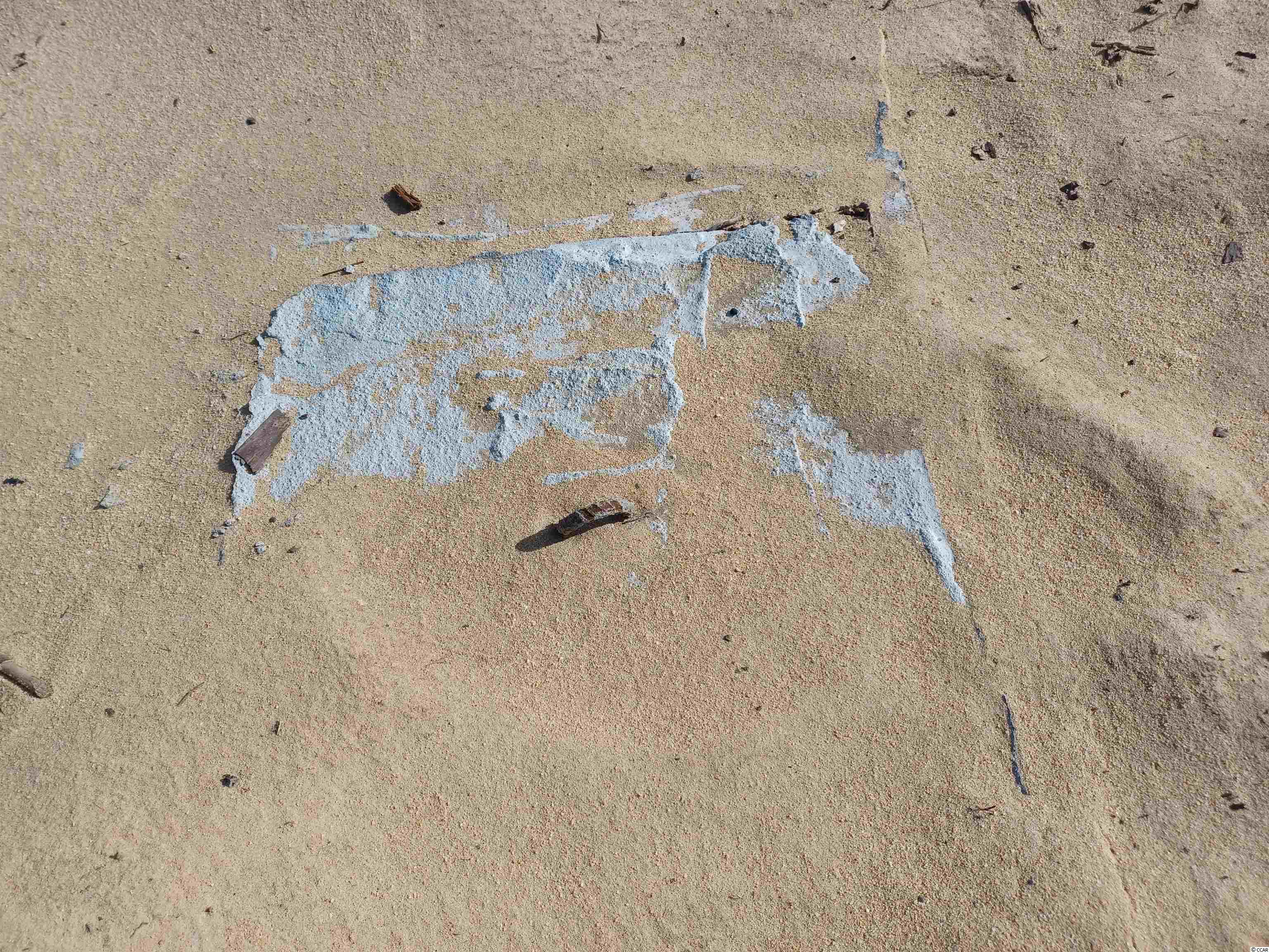 10163 Hardwick Rd., Nichols, SC 29581 MLS 2227124 Coldwell Banker