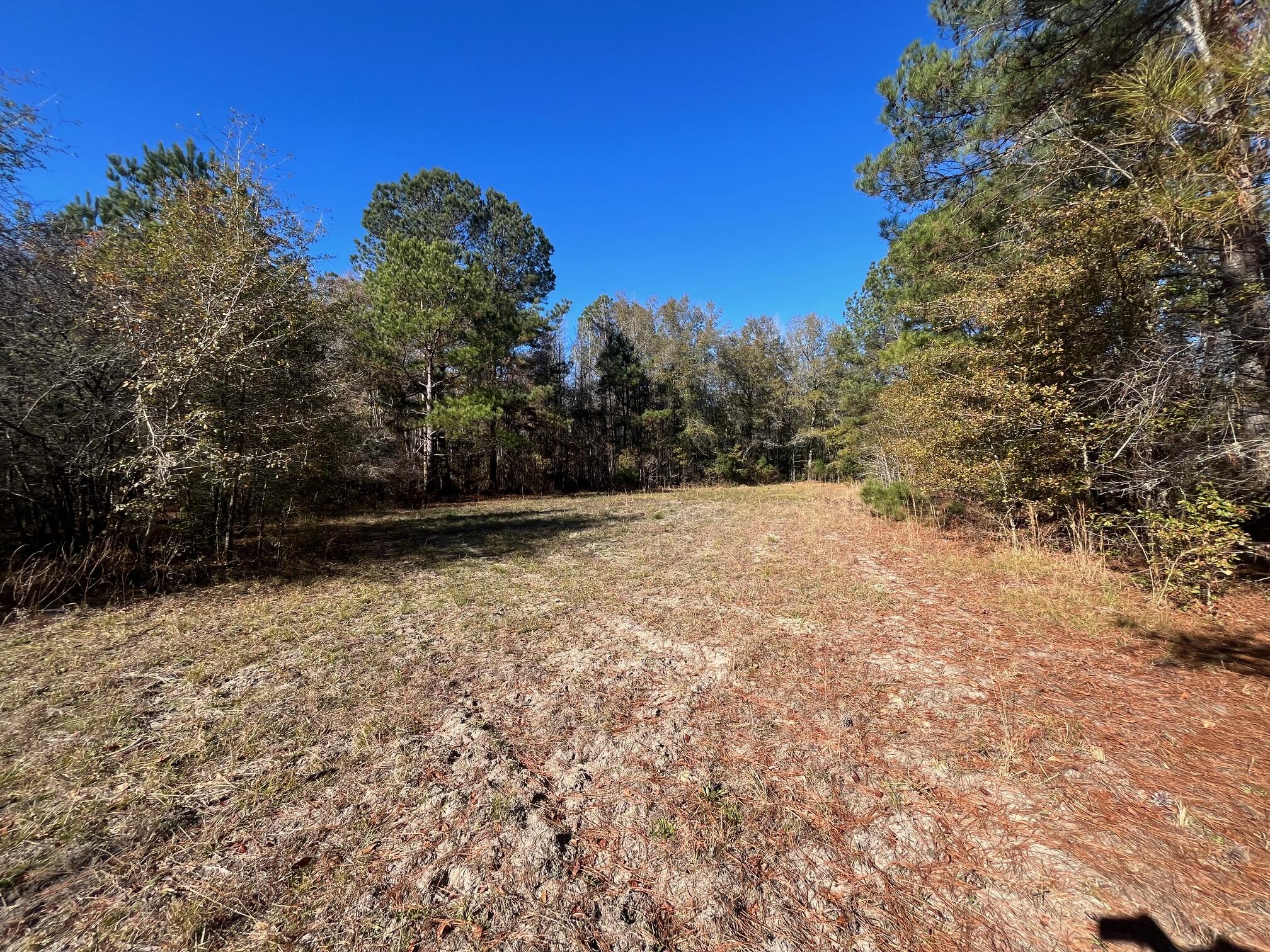 Tbd Bent Gate Lane, Smoaks, SC 29481 - MLS# 23028379 - Coldwell Banker