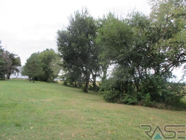 Listing view 2