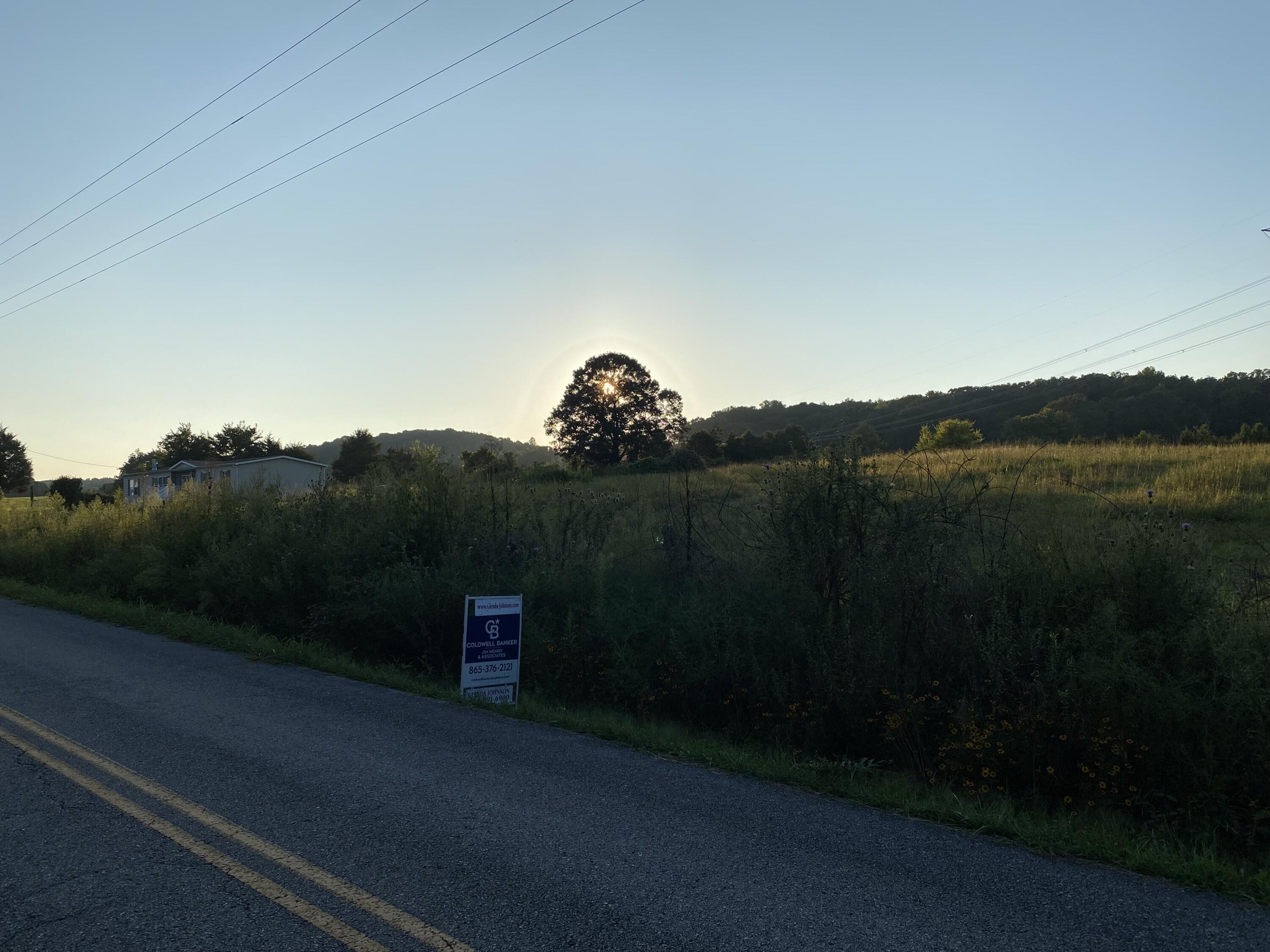 Listing view 3