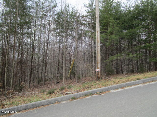 Listing view 2