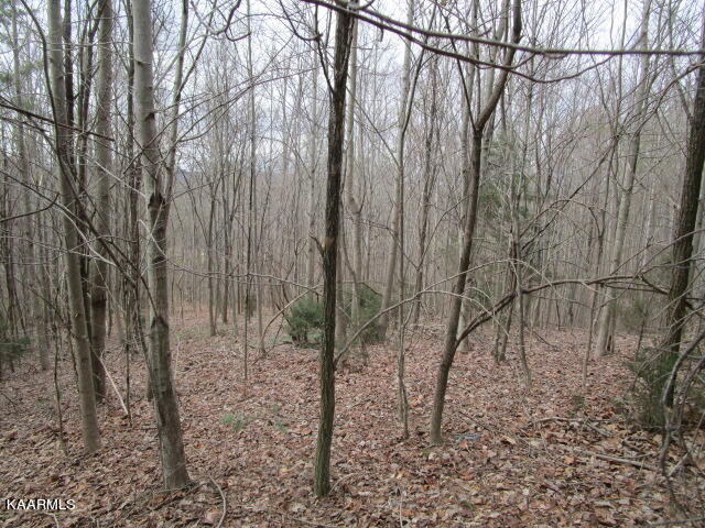 Listing view 3