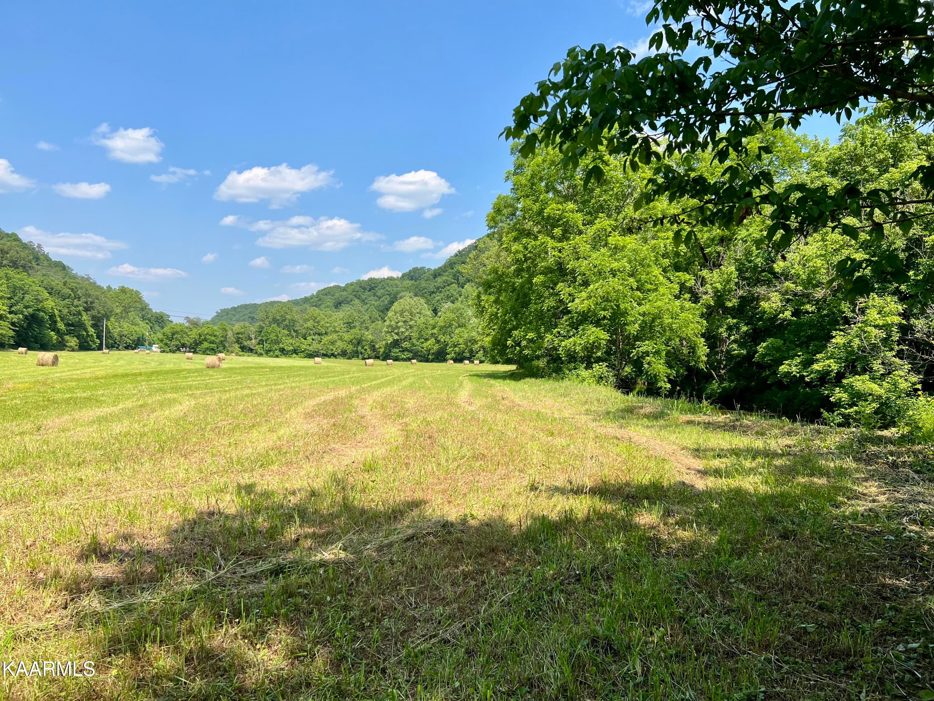 374 Vista Dr, Thorn Hill, TN 37881, MLS# 9942832