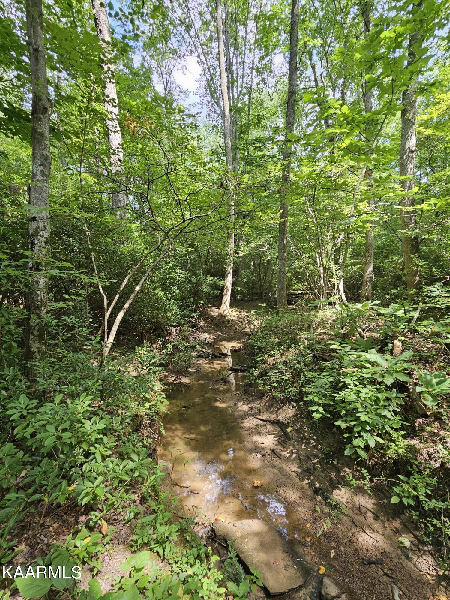 Find glade creek 2025 road sparta tn