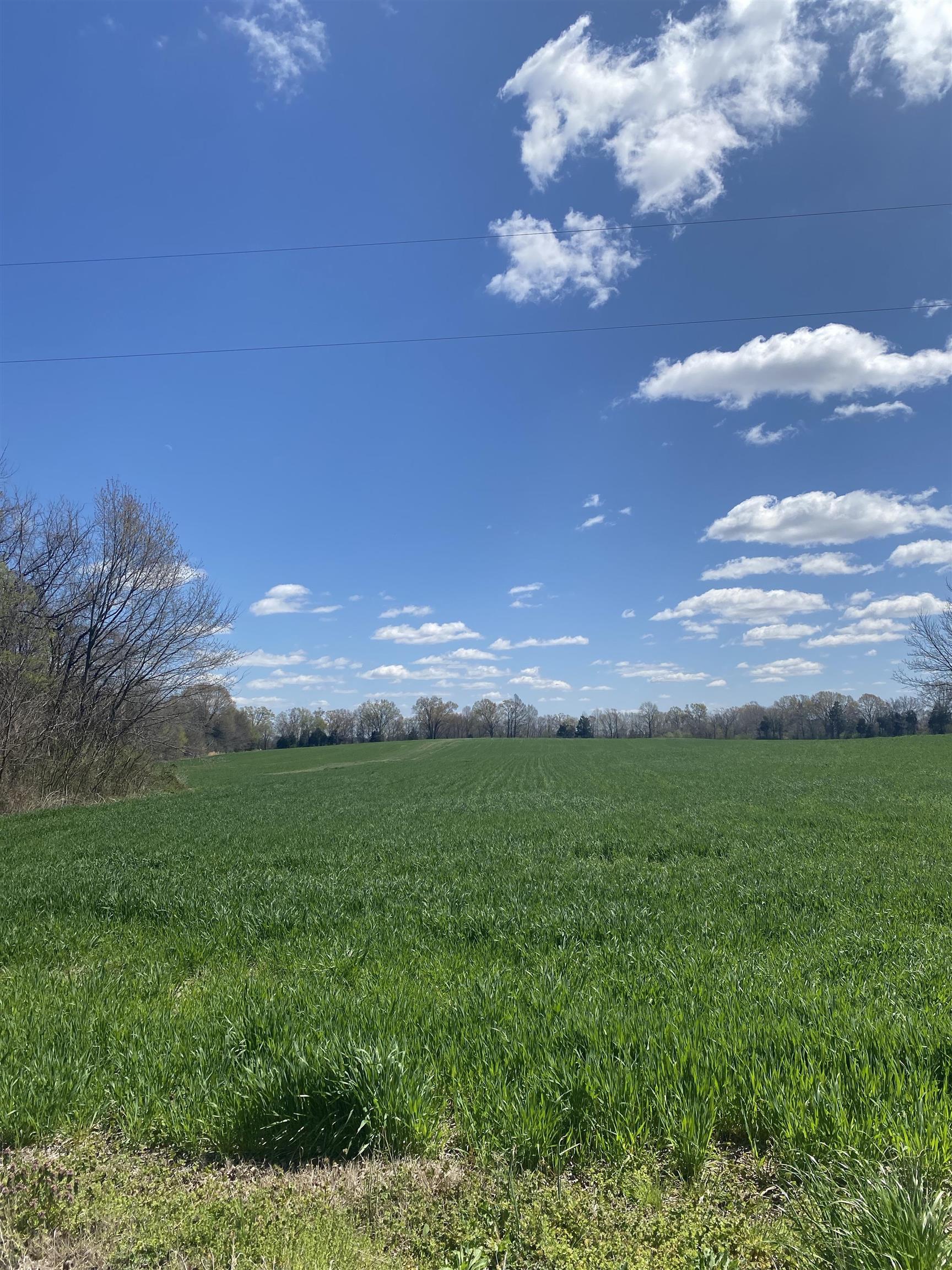 Listing view 3
