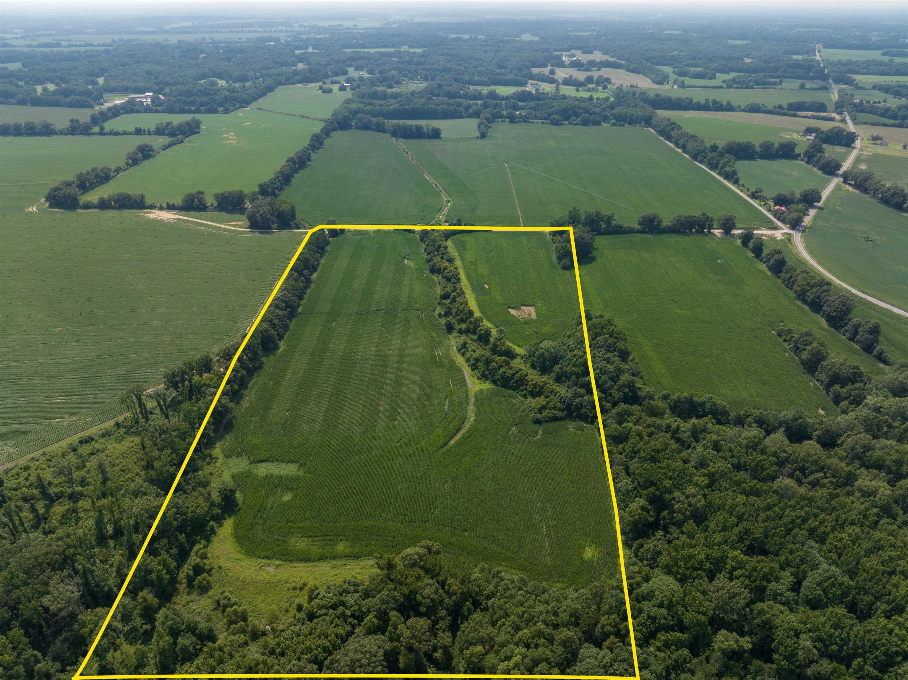 Listing view 3