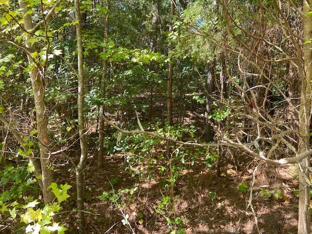 Listing view 3