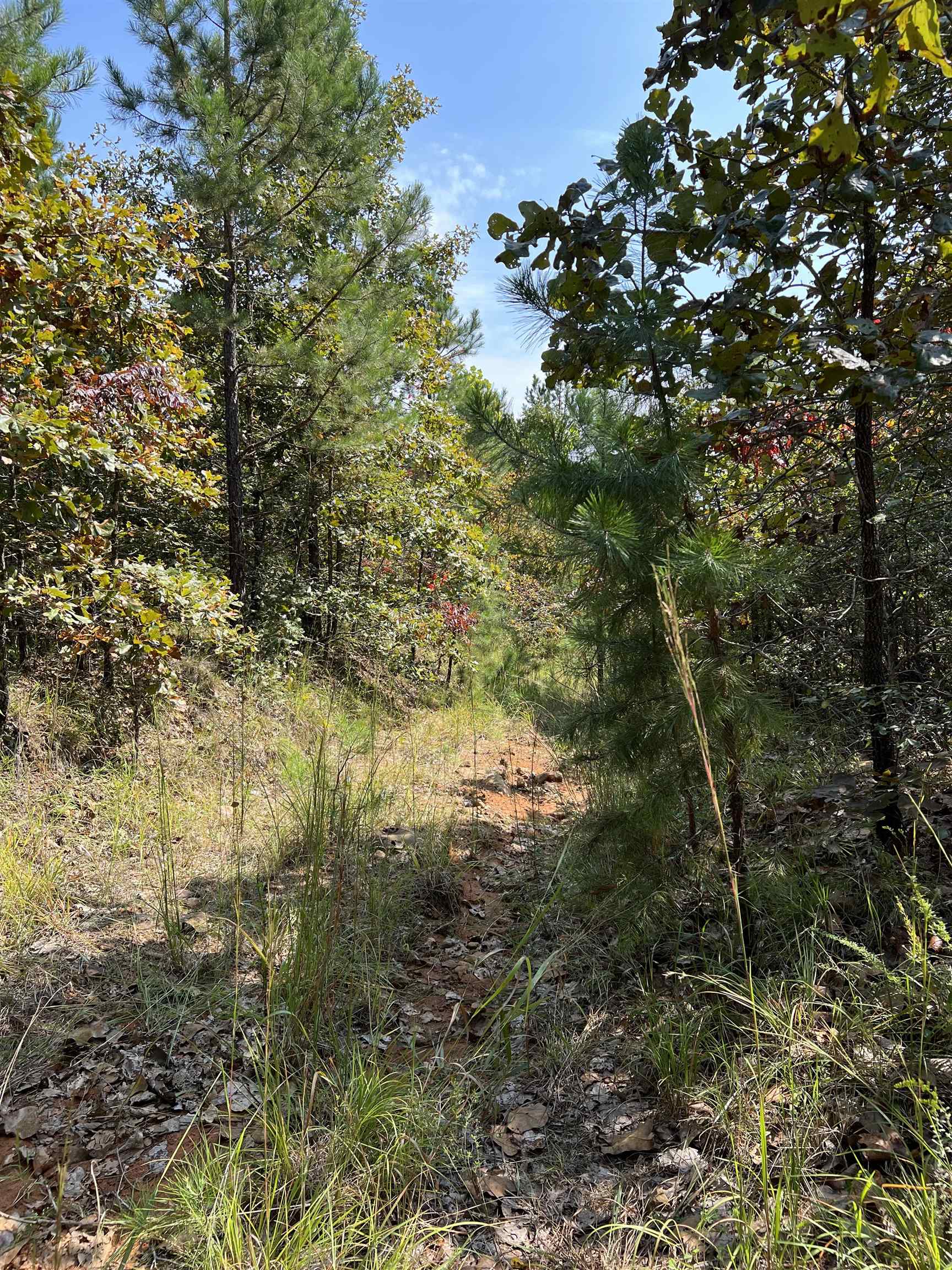 Listing view 3