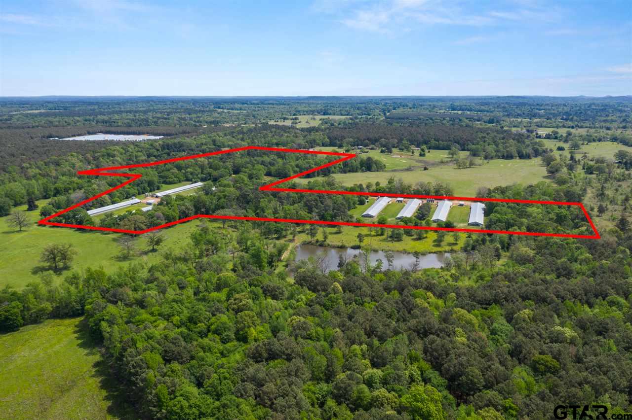 Listing view 3
