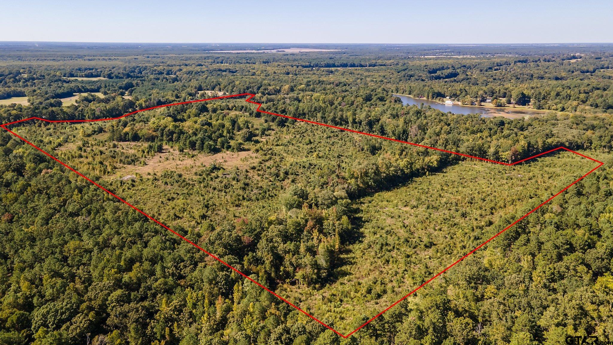 Listing view 2