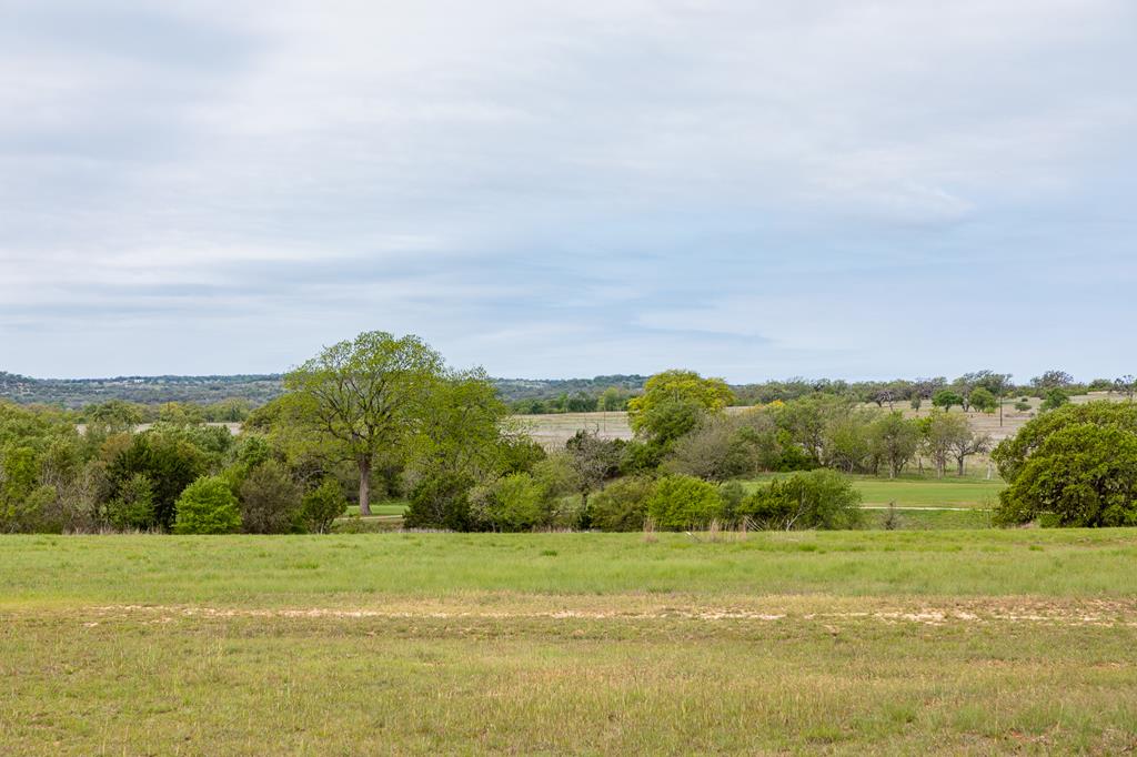 Listing view 2