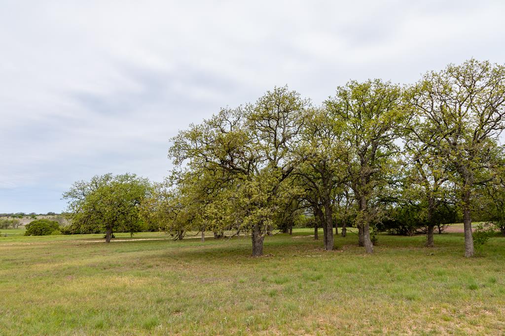 Listing view 3