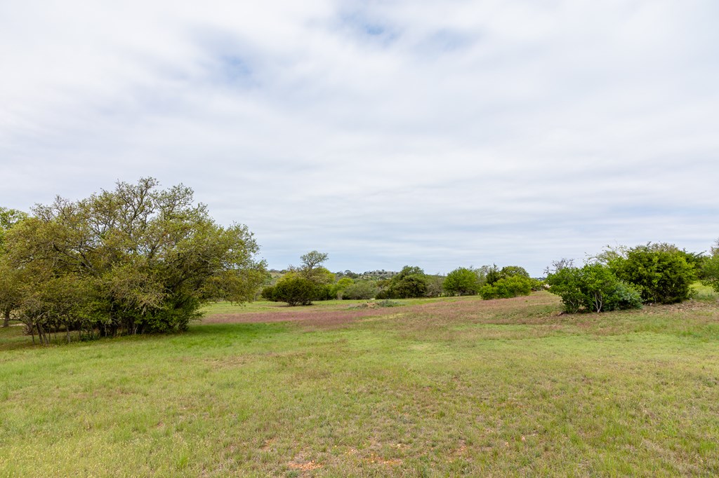 Listing view 2