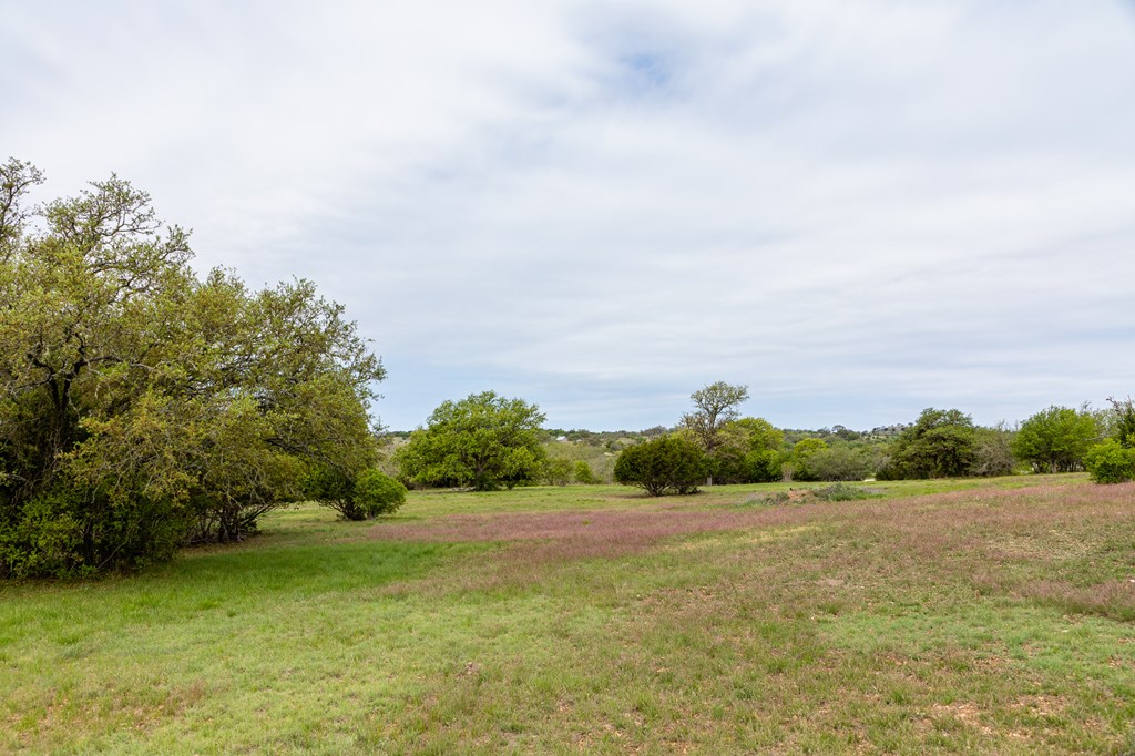 Listing view 3