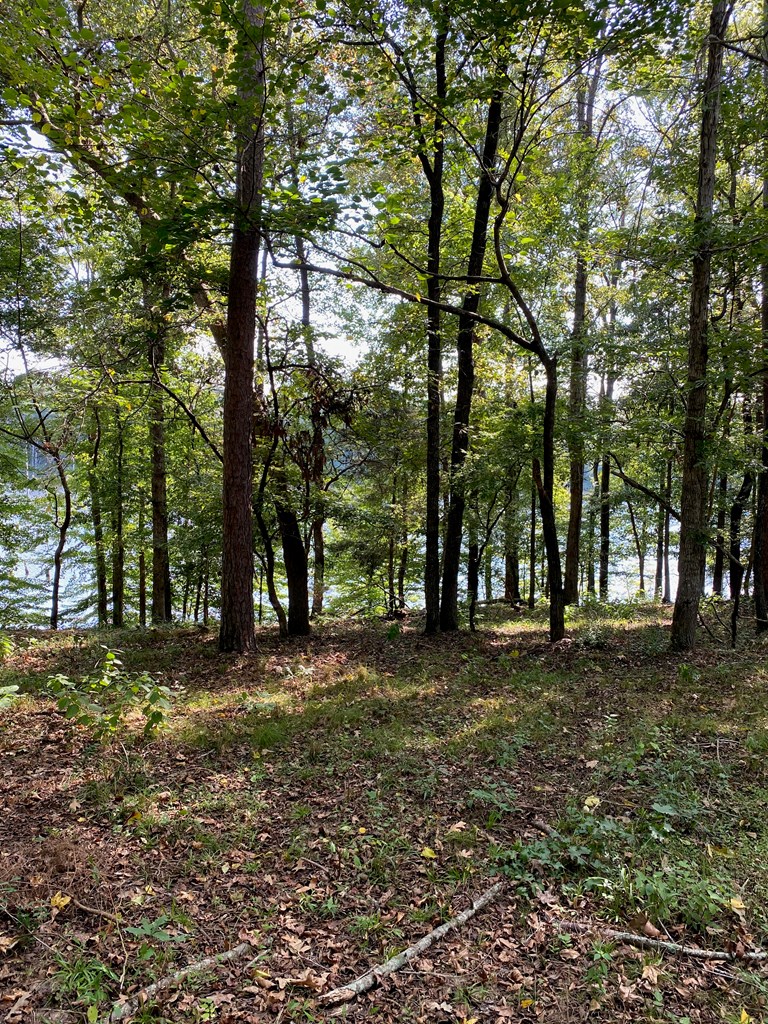 Listing view 3