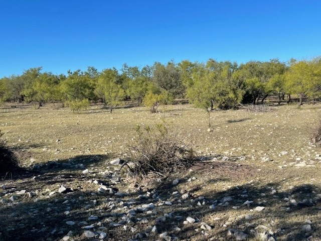 Listing view 3