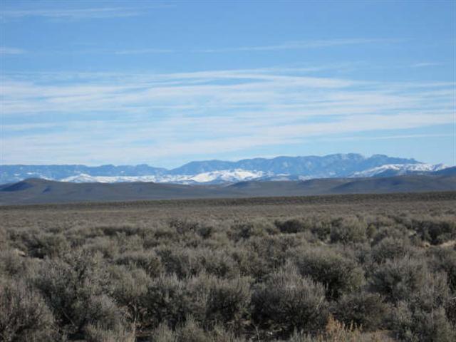 Listing view 3