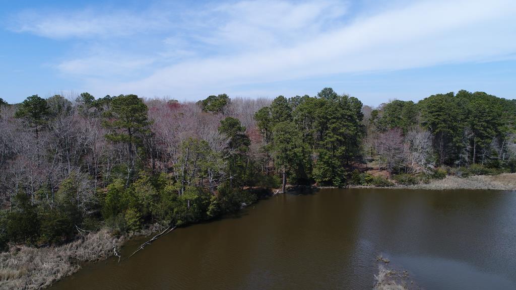 Listing view 2