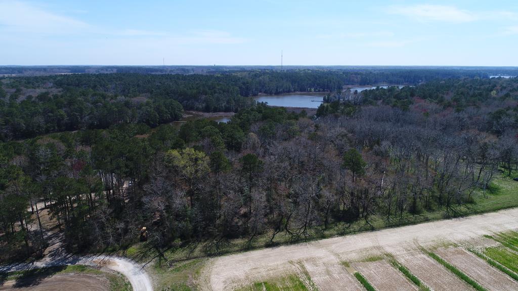Listing view 3