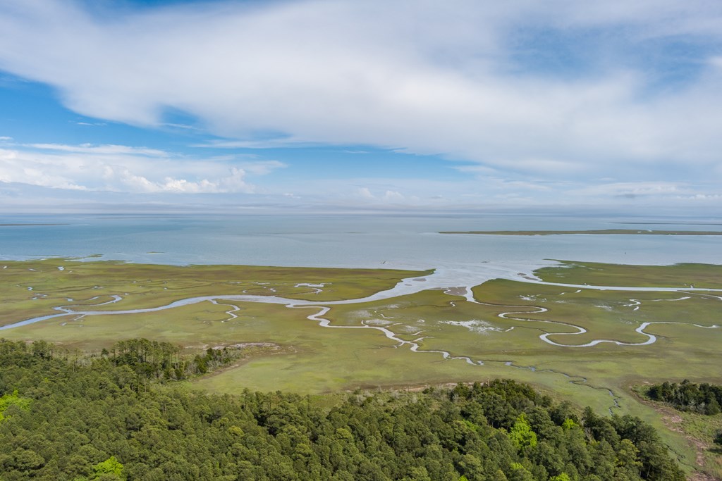 Listing view 3