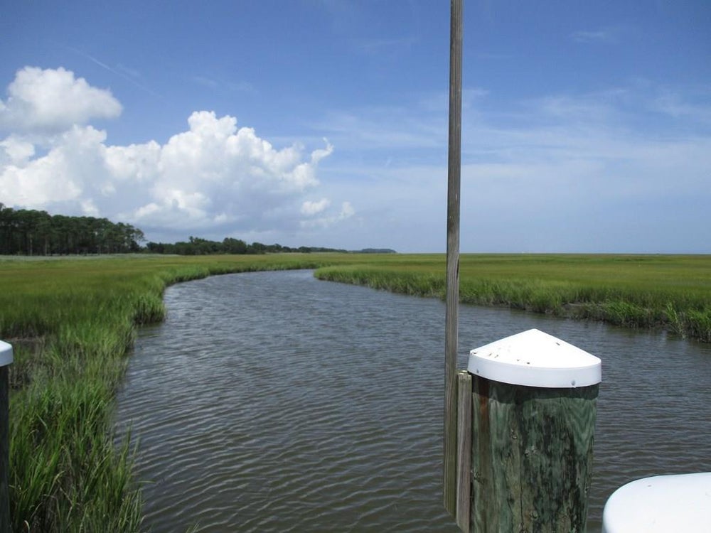 55 Lewis Lane, Parksley, VA 23421 MLS 60008 Coldwell Banker