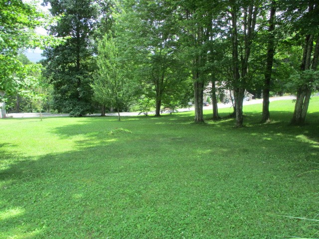 Listing view 2