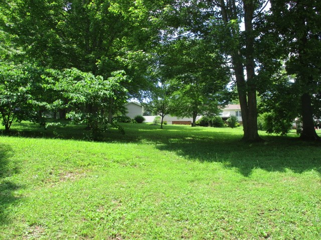 Listing view 3