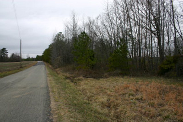Listing view 3