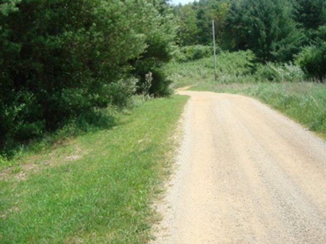 Listing view 2