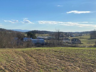 Listing view 2