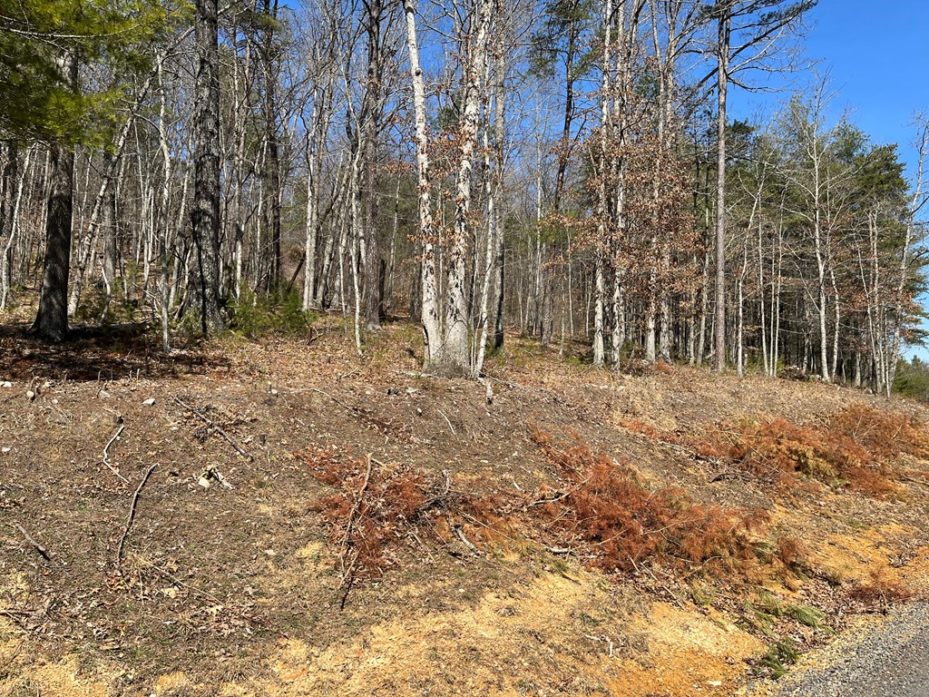 Listing view 3