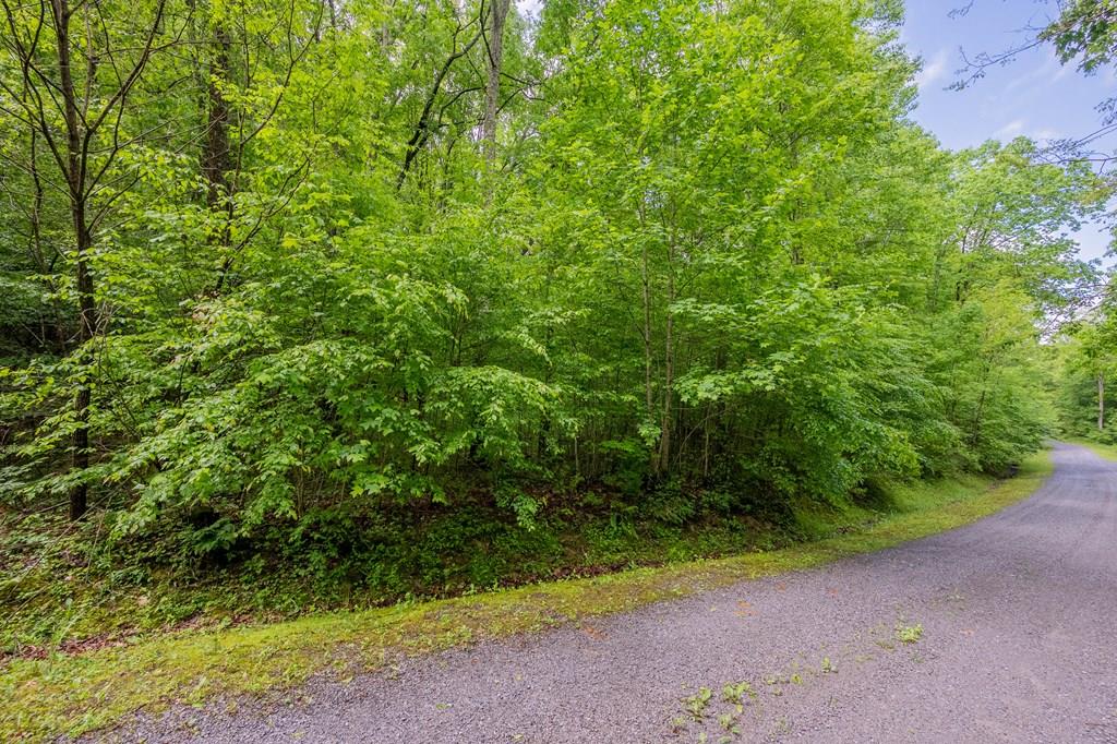 Lot 25 Brookstone Rd Bastian VA 24314 MLS 86850 Coldwell Banker