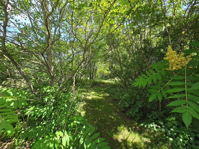 Photo 10 of 22, Lot 1 91st Avenue