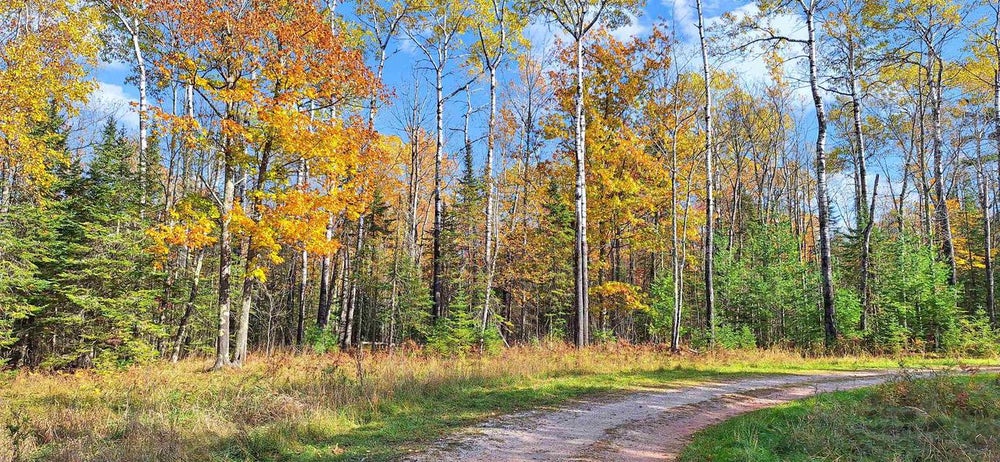Lot 4, Block 1 Raspberry Trl, La Pointe, WI 54850 - MLS# 6116751 ...