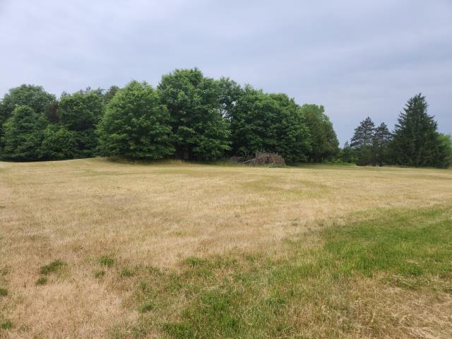 Listing view 2