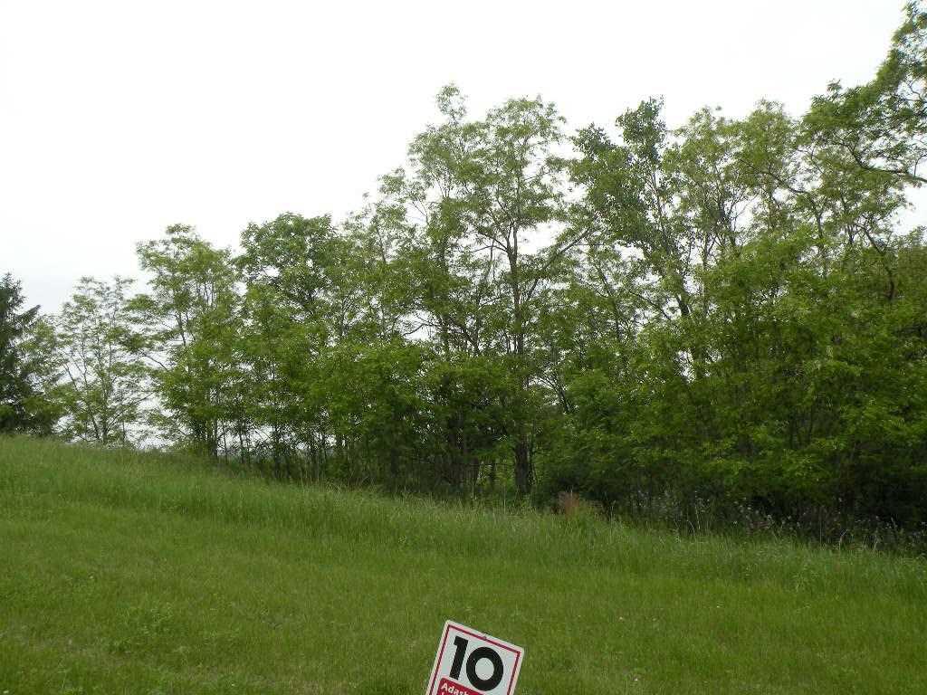 Listing view 3