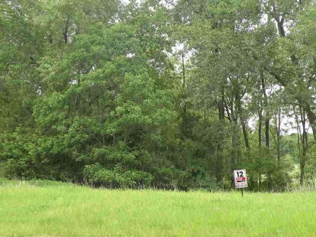 Listing view 2