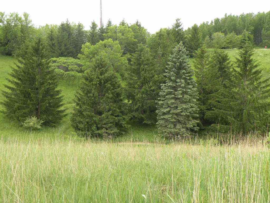 Listing view 3
