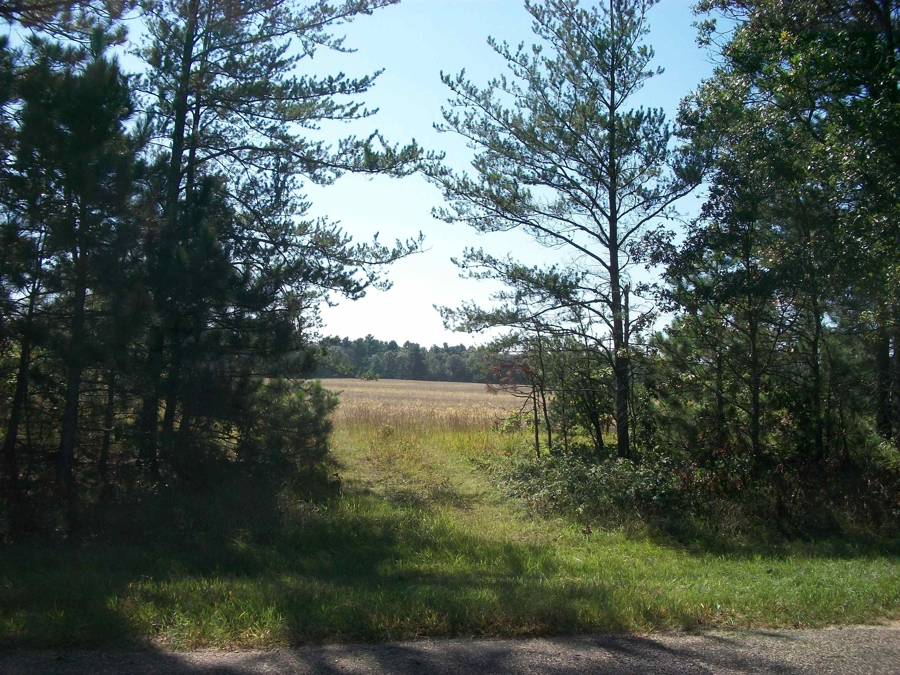 Listing view 2