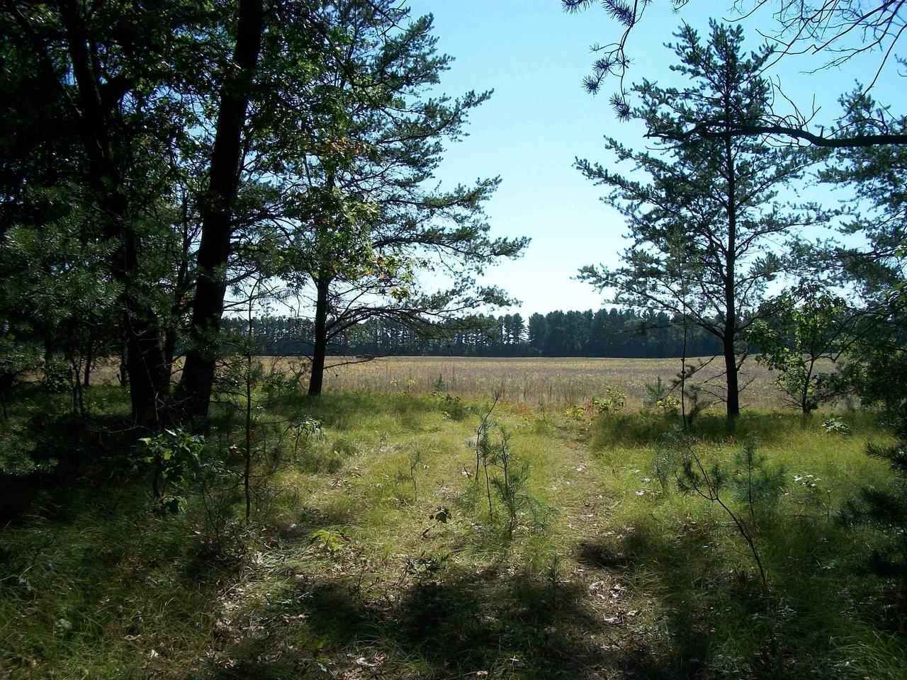 Listing view 3