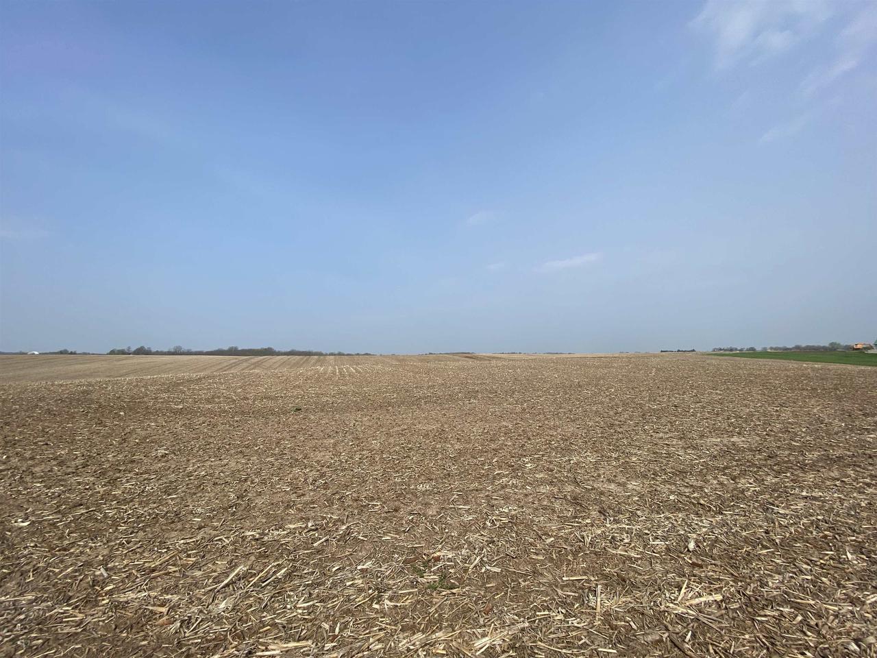 Listing view 2
