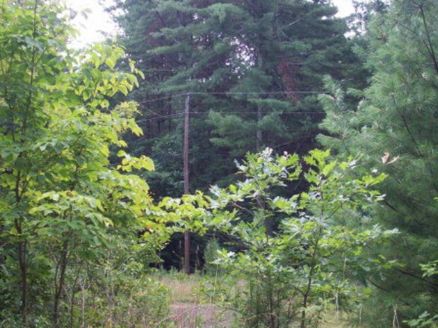 Listing view 2