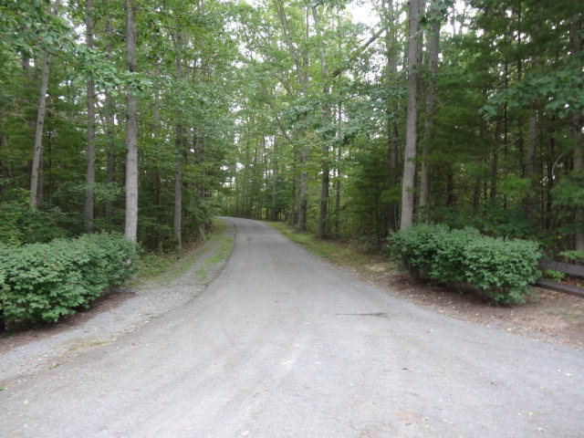 Listing view 2