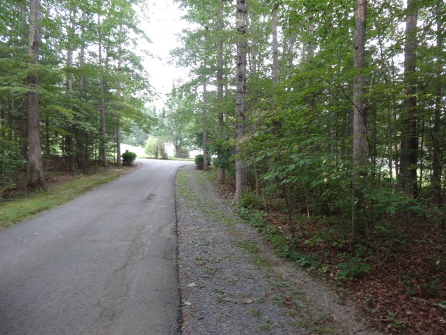 Listing view 3